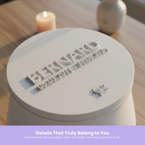 Custom Pet Urn – Personalized 3D-Printed Memorial of Your Beloved Pet