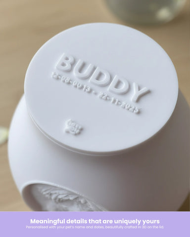 Custom Pet Urn – Personalized 3D-Printed Memorial of Your Beloved Pet